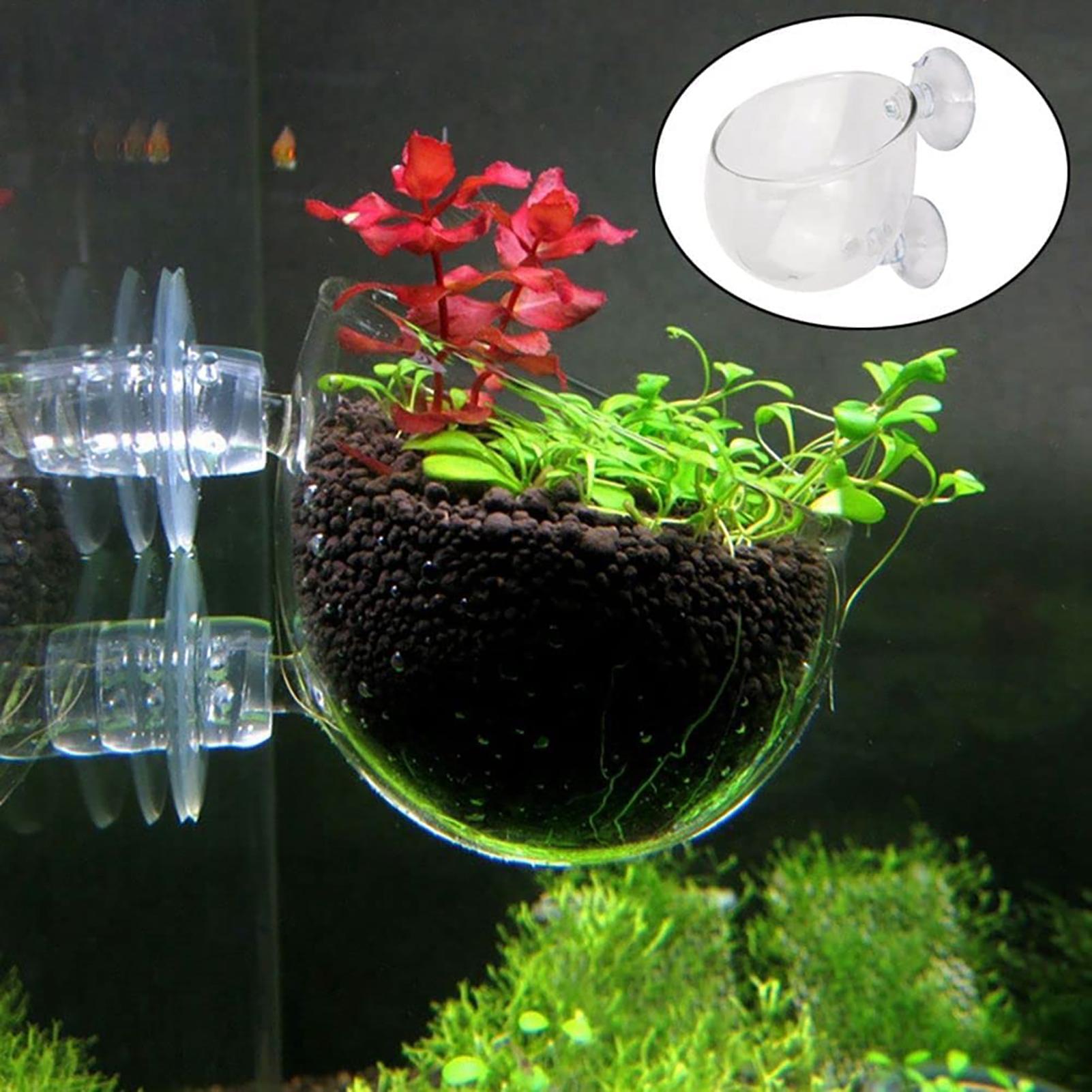 Plant Aquarium Pot - Aquatic Plant Pot Clear Acrylic Aquarium