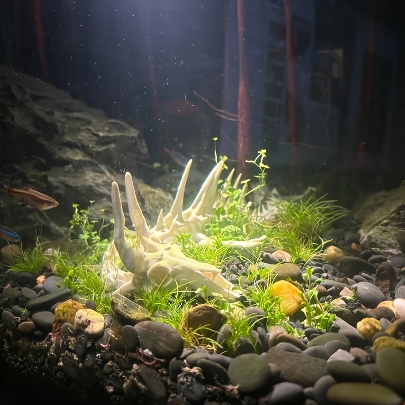 1pc Dragon-Shaped Fishbone Dec - Aquarium Plants Live 评论和价格