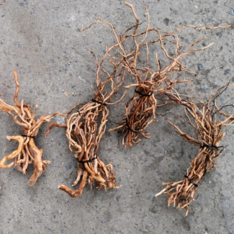 Natural Driftwood Root Trunk T - Aquarium Driftwood 评论和价格