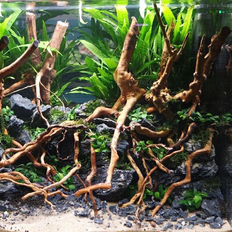 Natural Driftwood Root Trunk T - Aquarium Driftwood 评论和价格