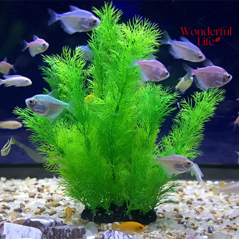 19/30CM Water Grass Aquatic Pl - Aquarium Plant Substrate 评论和价格