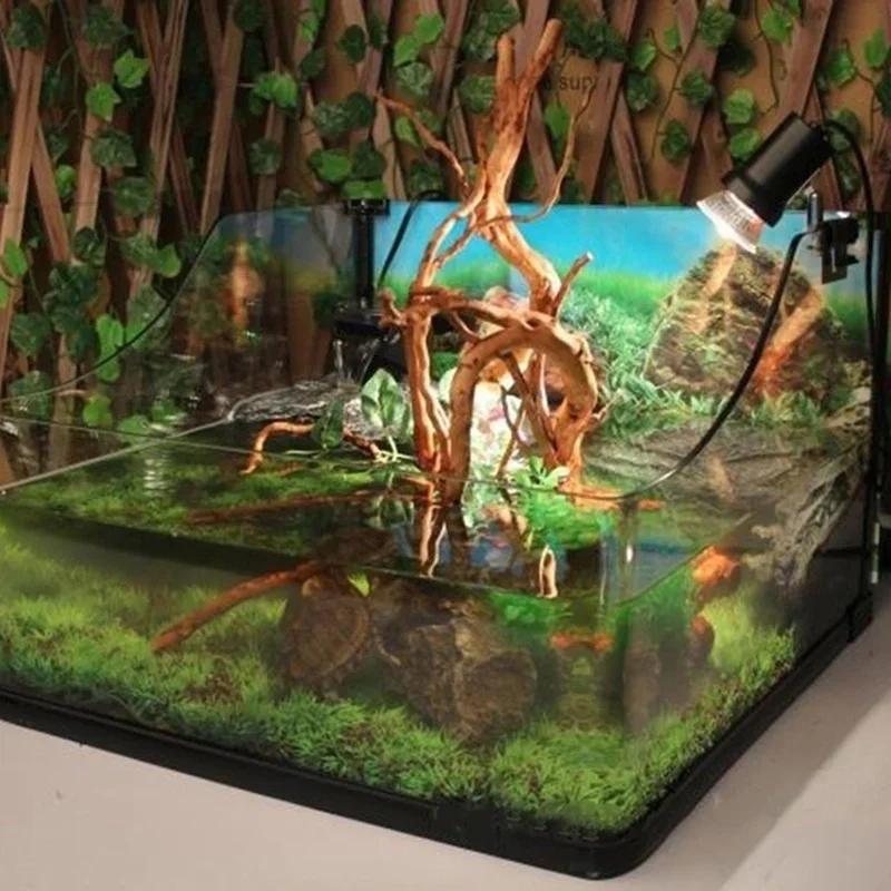Natural Tree Trunk Driftwood A - Aquarium Driftwood 评论和价格
