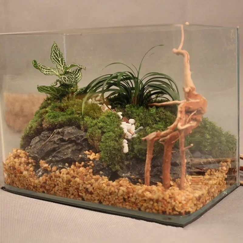 Natural Tree Trunk Driftwood A - Aquarium Driftwood 评论和价格