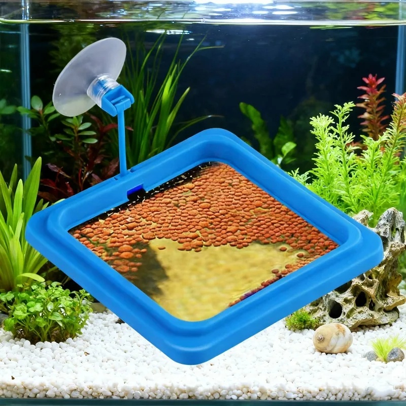 Aquarium Feeding Ring Fish Tan - Aquarium Fertilizer 评论和价格