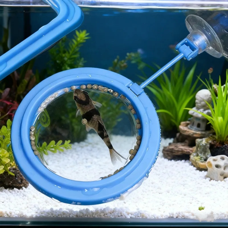 Aquarium Feeding Ring Fish Tan - Aquarium Fertilizer 评论和价格