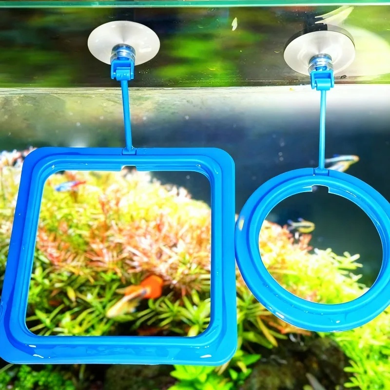 Aquarium Feeding Ring Fish Tan - Aquarium Fertilizer 评论和价格