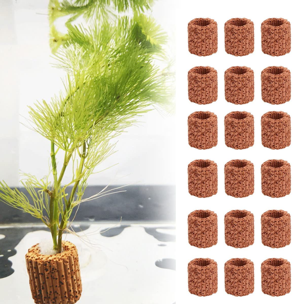10/20Pcs Aquatic Water Plant F - Plant Aquarium Pot 评论和价格