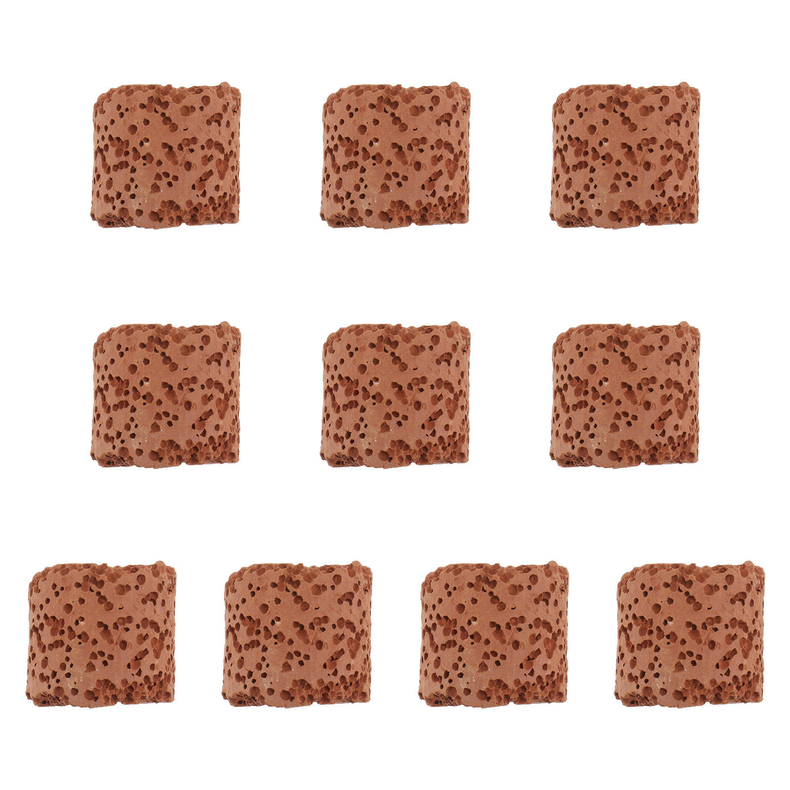 10Pcs Fixed Ring for Aquarium  - Aquarium Plant Holder 评论和价格