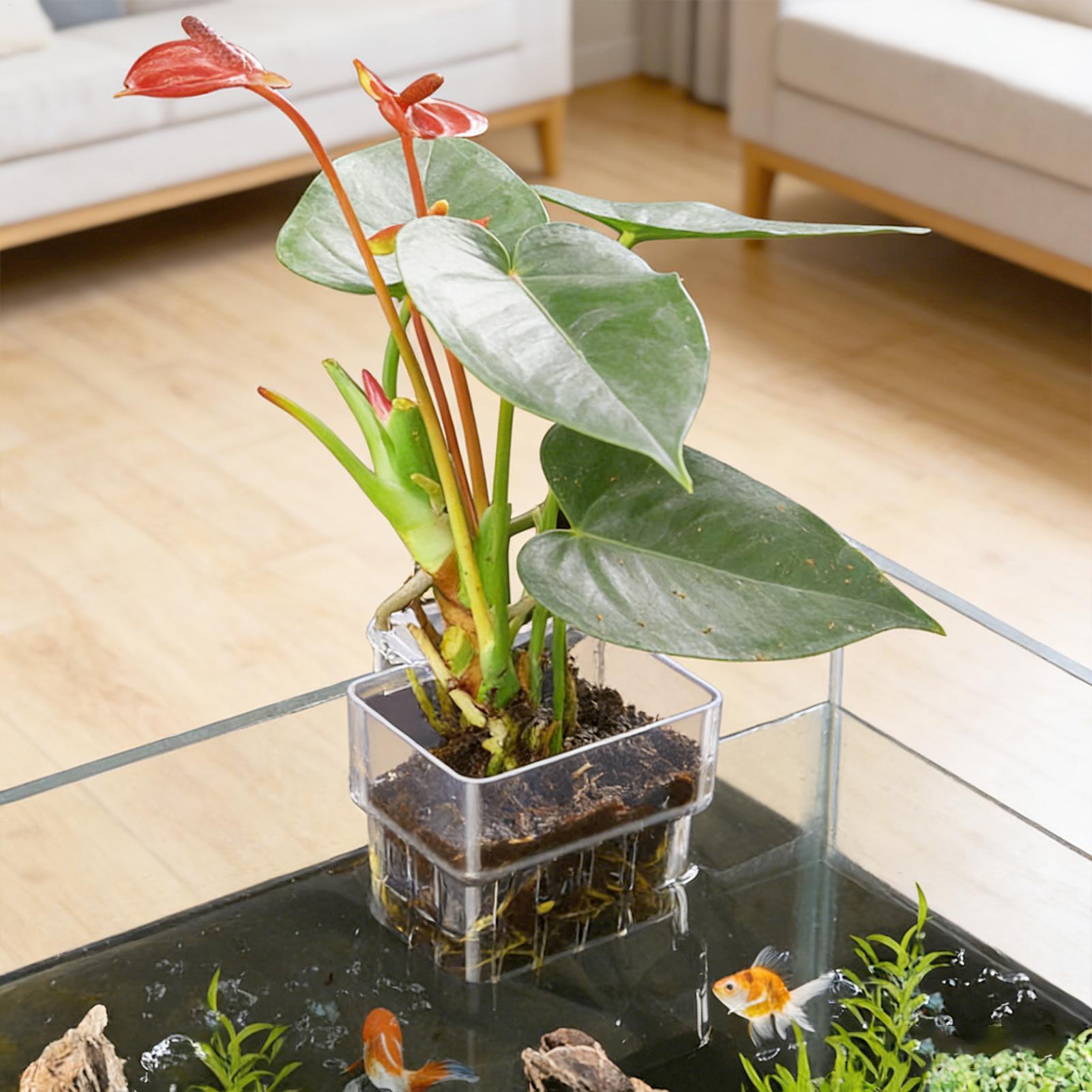 Transparent Hangable Aquarium  - Plant Aquarium Pot 评论和价格