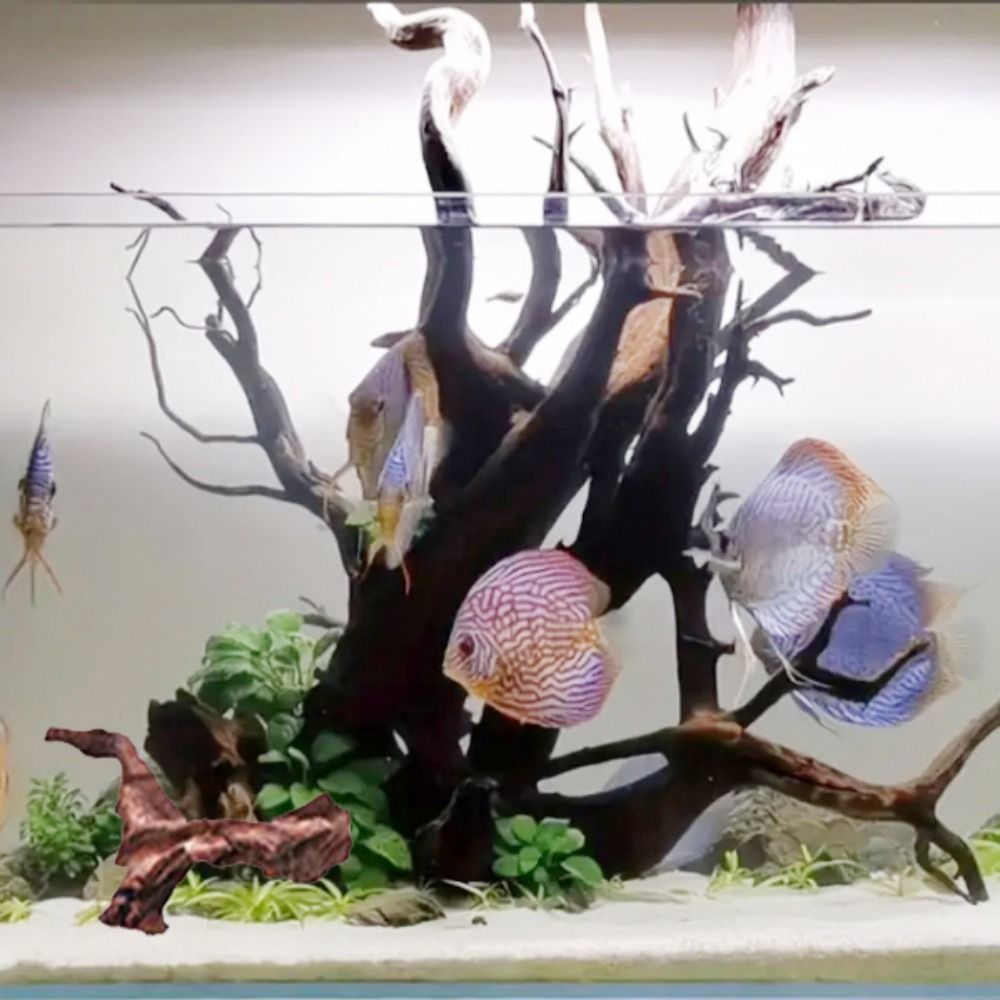 Creative Irregular Shape Coral - Aquarium Driftwood 评论和价格