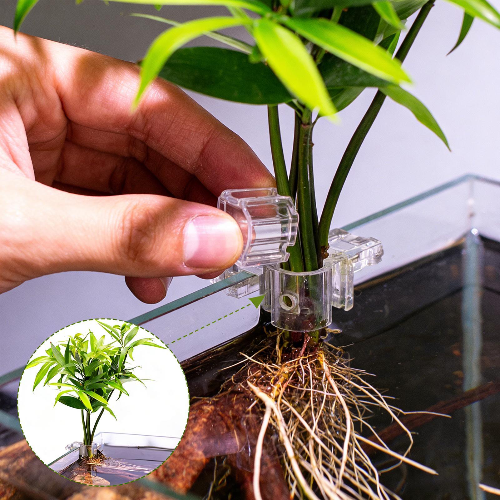 6pcs Aquarium Plant Holders Cl - Aquarium Plant Holder 评论和价格