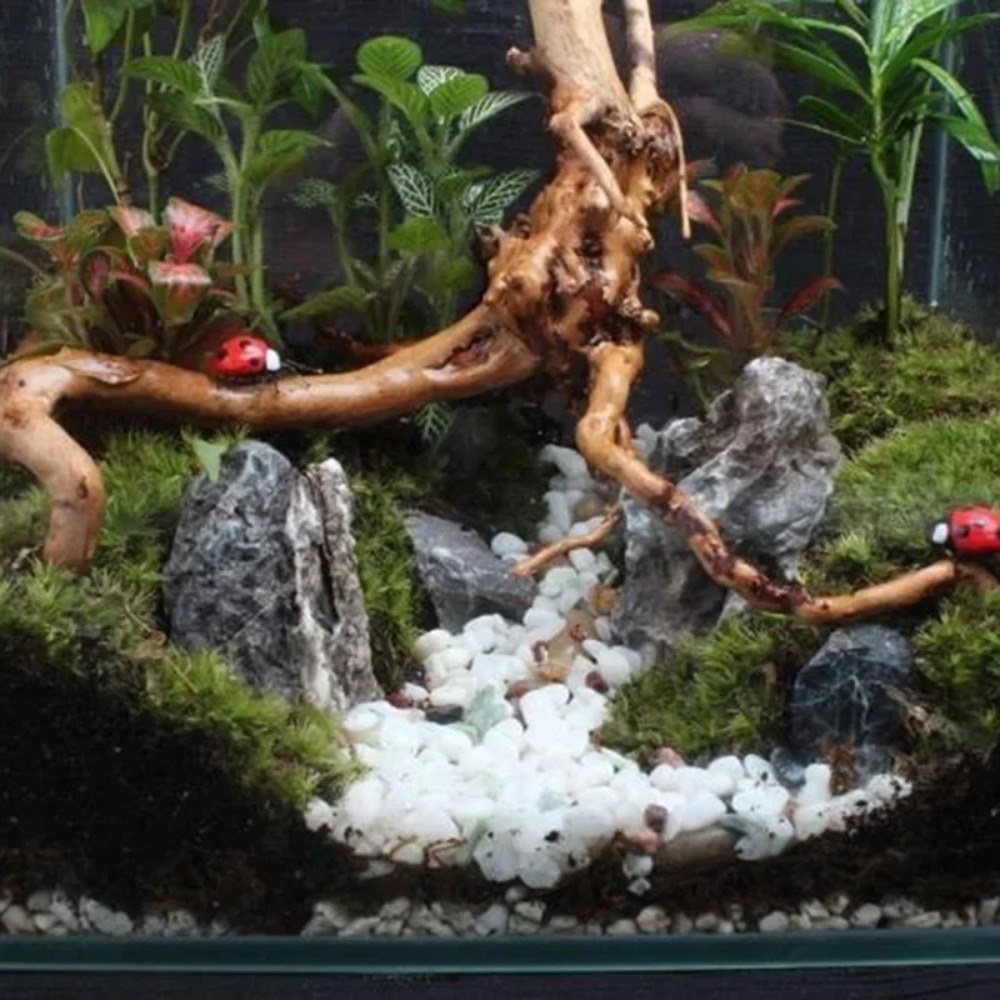 Natural Driftwood Aquarium Dec - Aquarium Driftwood 评论和价格