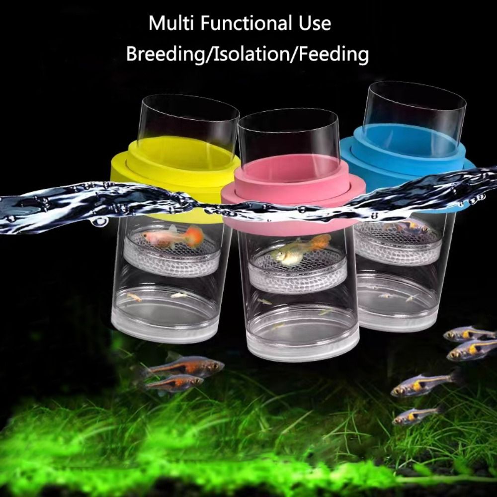 Plastic Floating Fish Breeding - Aquarium Fertilizer 评论和价格