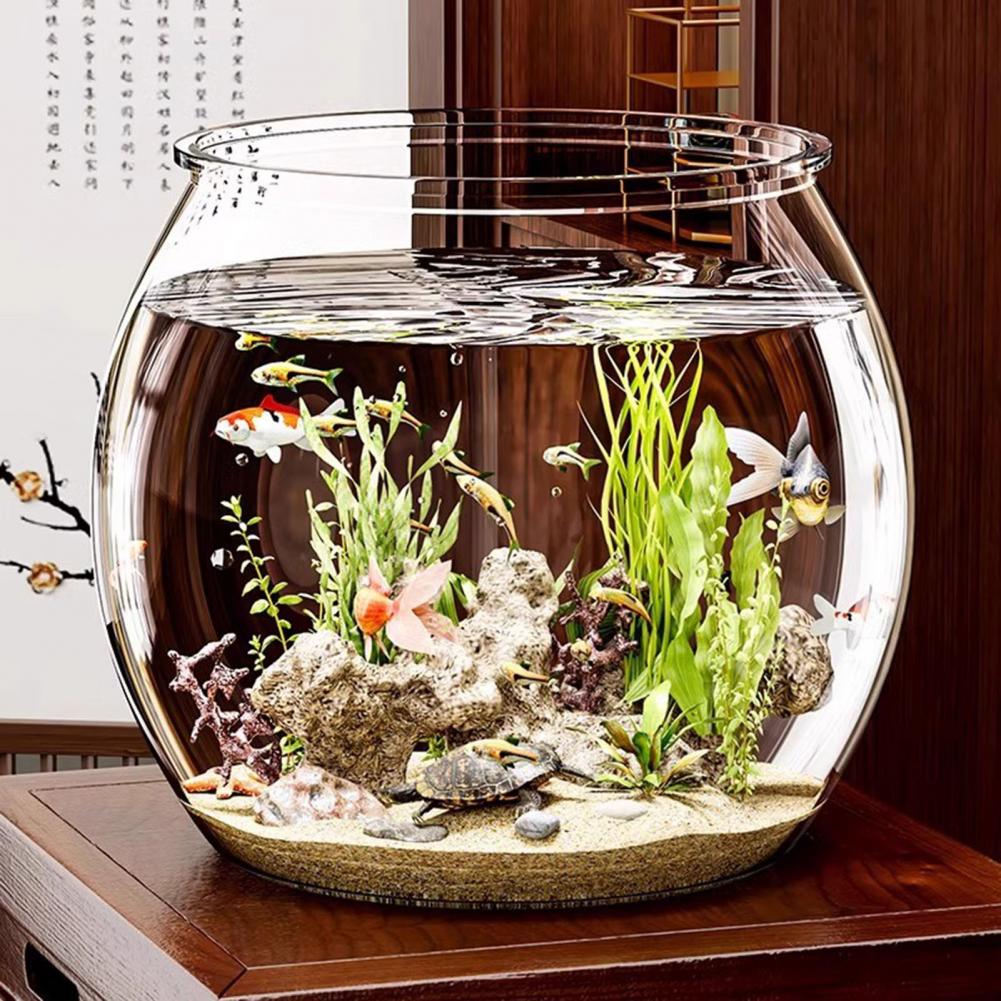 Clear Plastic round Fish Bowl  - Plant Aquarium Pot 评论和价格