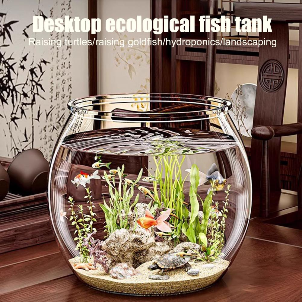 Clear Plastic round Fish Bowl  - Plant Aquarium Pot 评论和价格