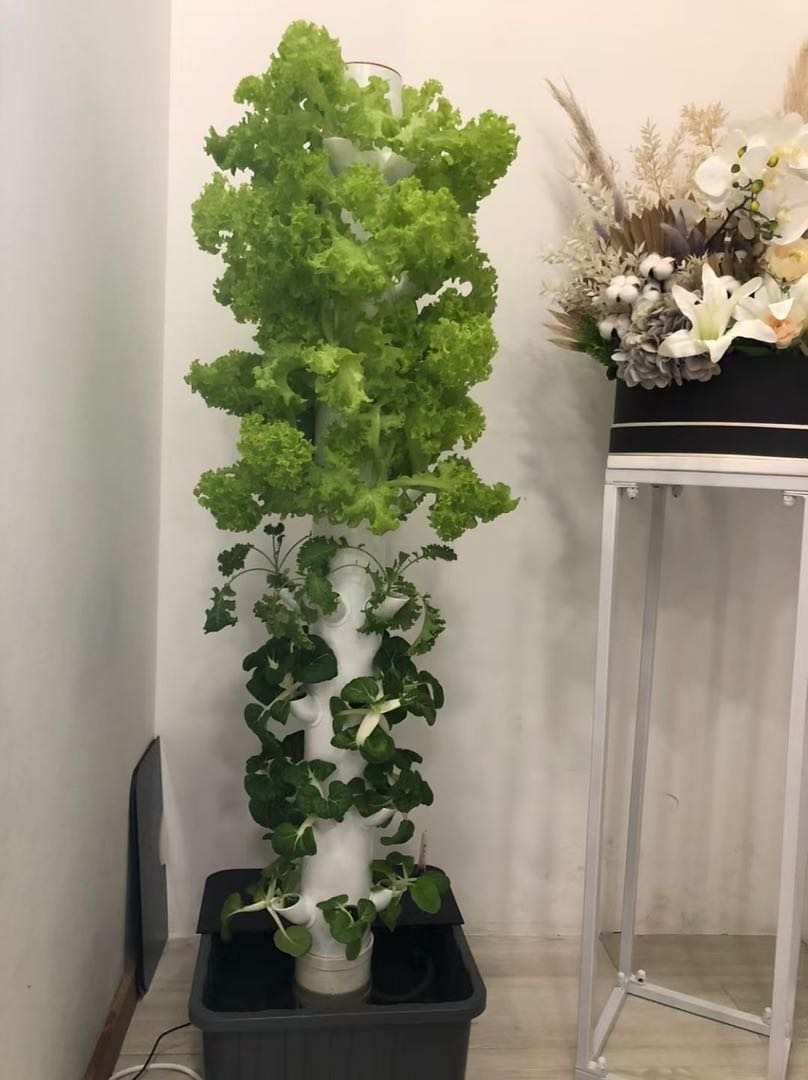 Vertical Hydroponic Grow Tower - Planted Tank 评论和价格