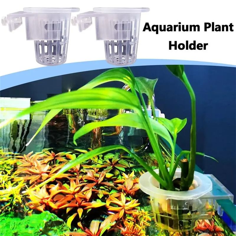 A7THK-2Pcs Transparent Hanging - Aquarium Plant Holder 评论和价格