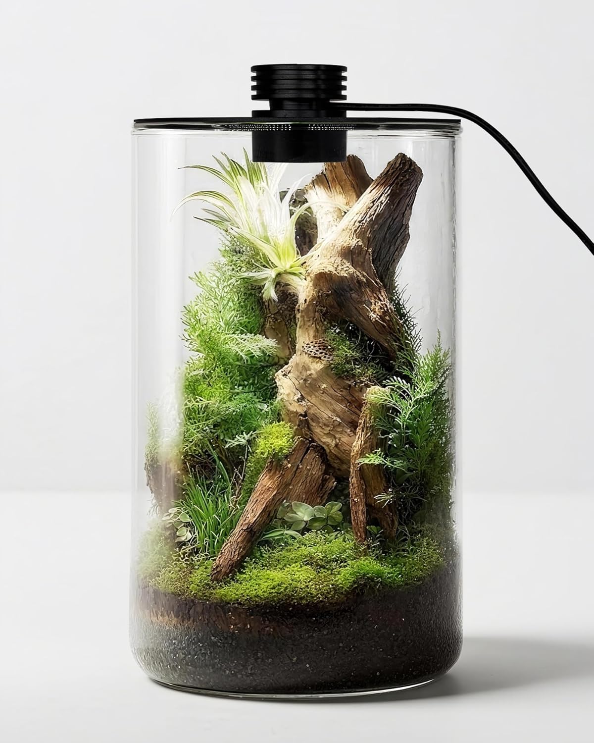 Indoor Glass Terrarium with Gr - Planted Tank 评论和价格