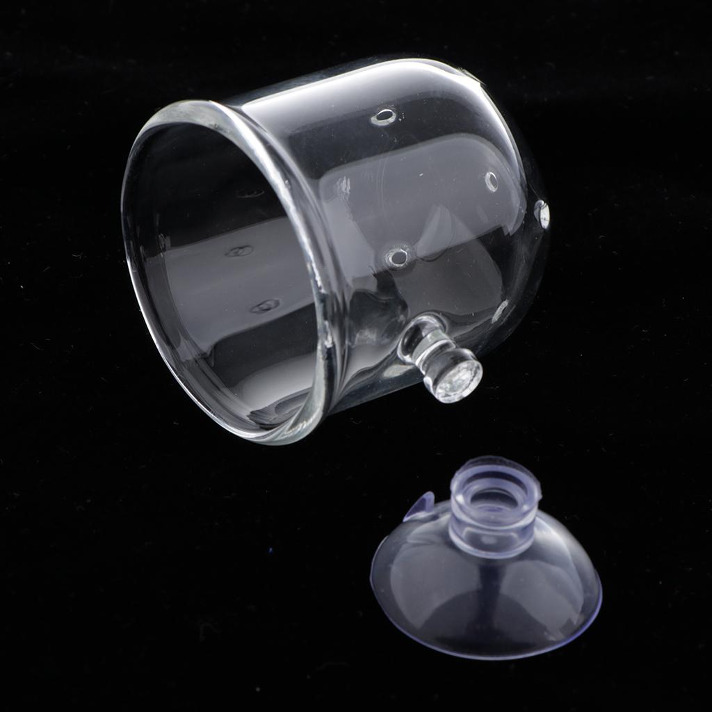 Fish Feeding Basket Glass Aqua - Live Plant Aquarium 评论和价格